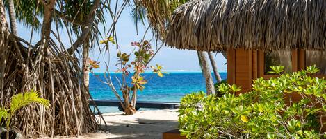 A beach hut with a thatched roof, surrounded by palm trees and a view of the ocean.