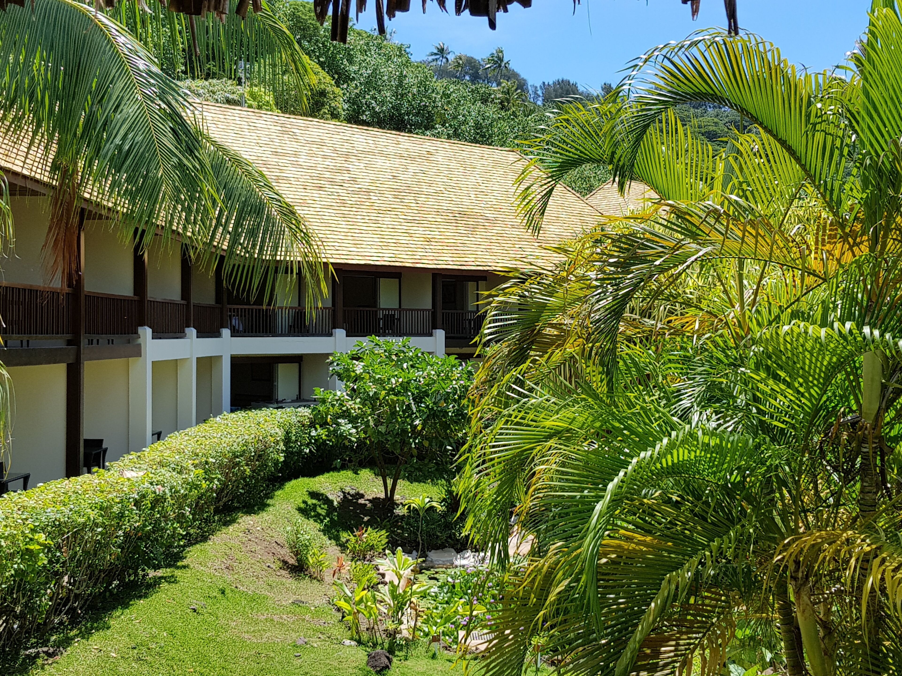 A two-story building with a thatched roof, surrounded by lush greenery and palm trees.