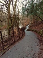 Ein gepflasterter Weg in einem bewaldeten Gebiet, mit einem Metallzaun an einer Seite und einem Fluss auf der anderen.