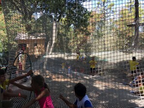 Children's activities