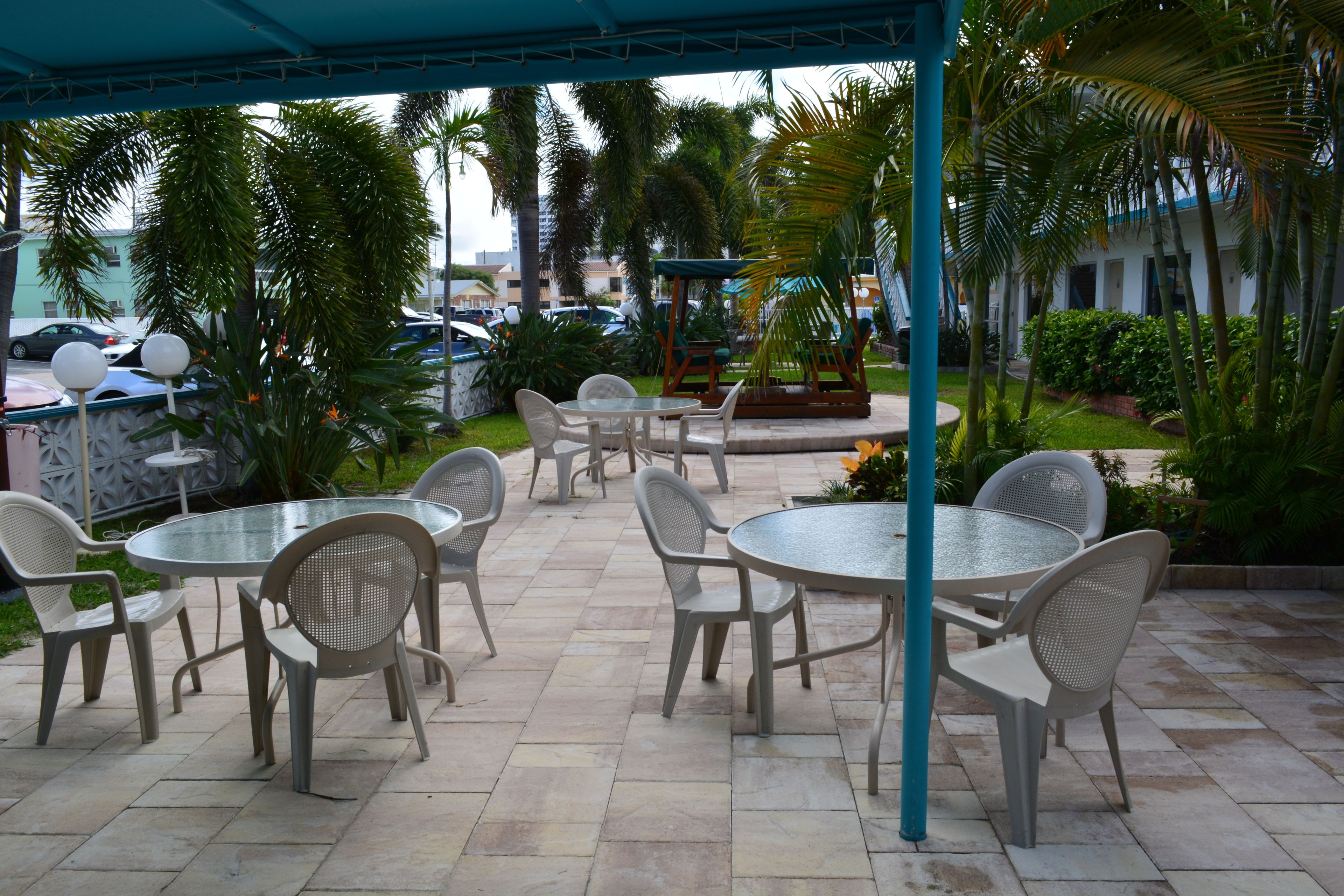 An outdoor patio with round tables and chairs, surrounded by palm trees and greenery.