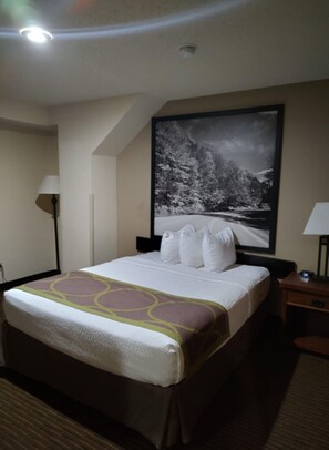 Standard Room, 1 Queen Bed | Desk, free cribs/infant beds, free WiFi, bed sheets