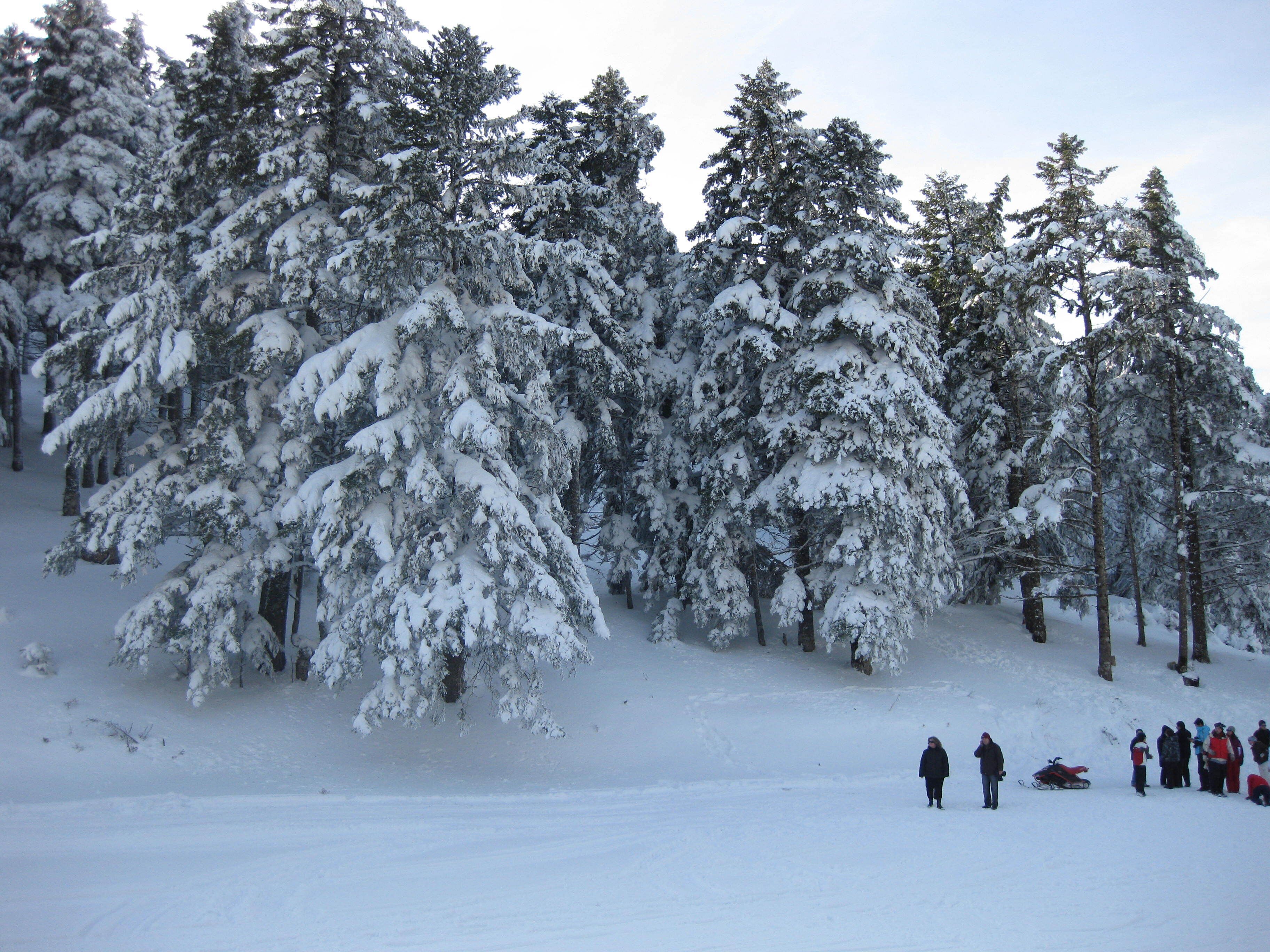 Foto - Parnassos Delphi Hotel