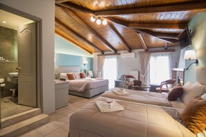 Suite Premium, vistas al jardín | 1 dormitorio, caja fuerte, cortinas opacas y wifi gratis