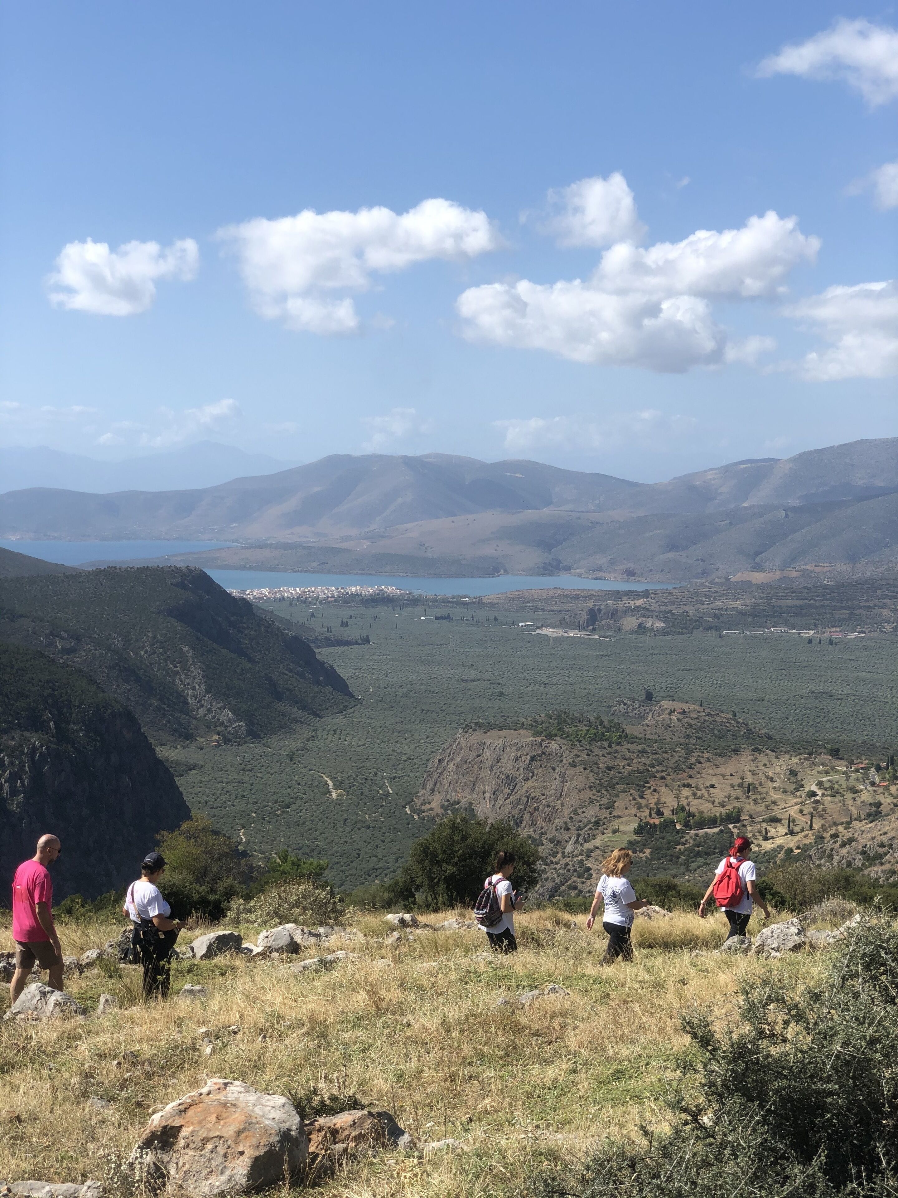 Foto - Parnassos Delphi Hotel