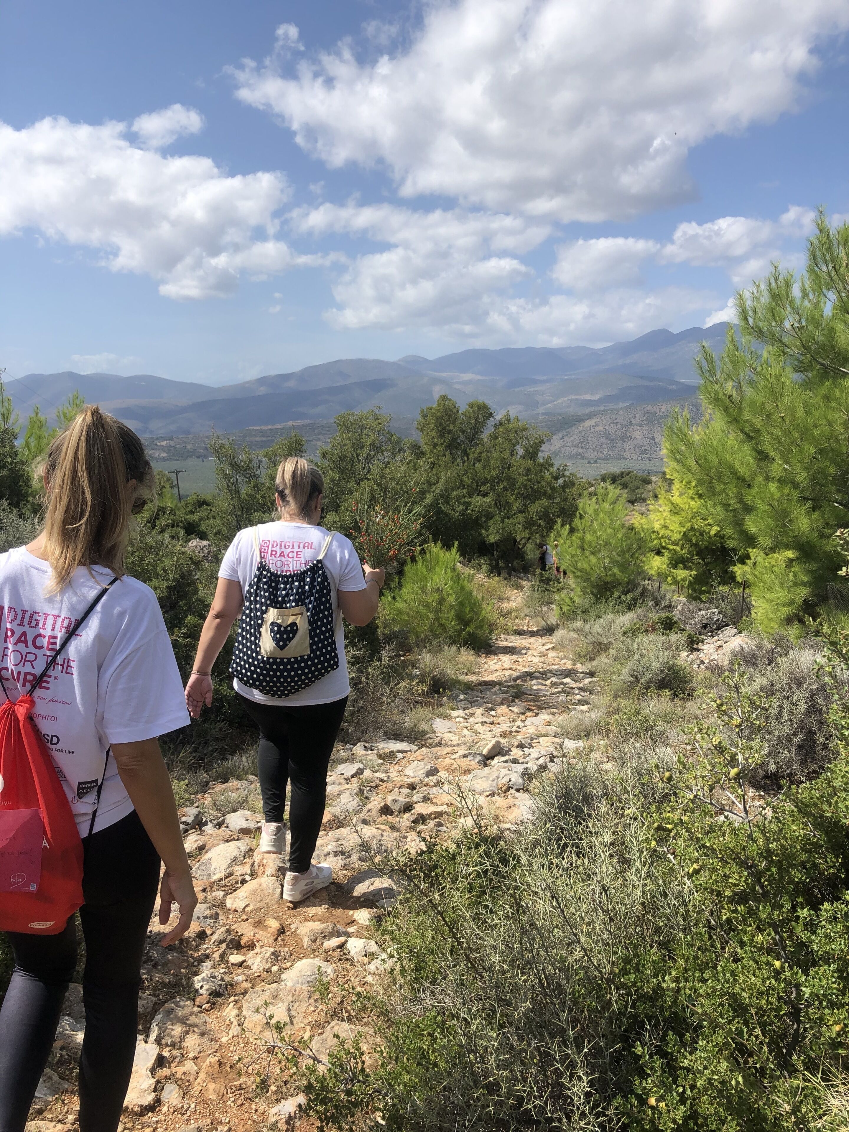 Two people walking on a rocky trail surrounded by greenery and mountains in the distance.