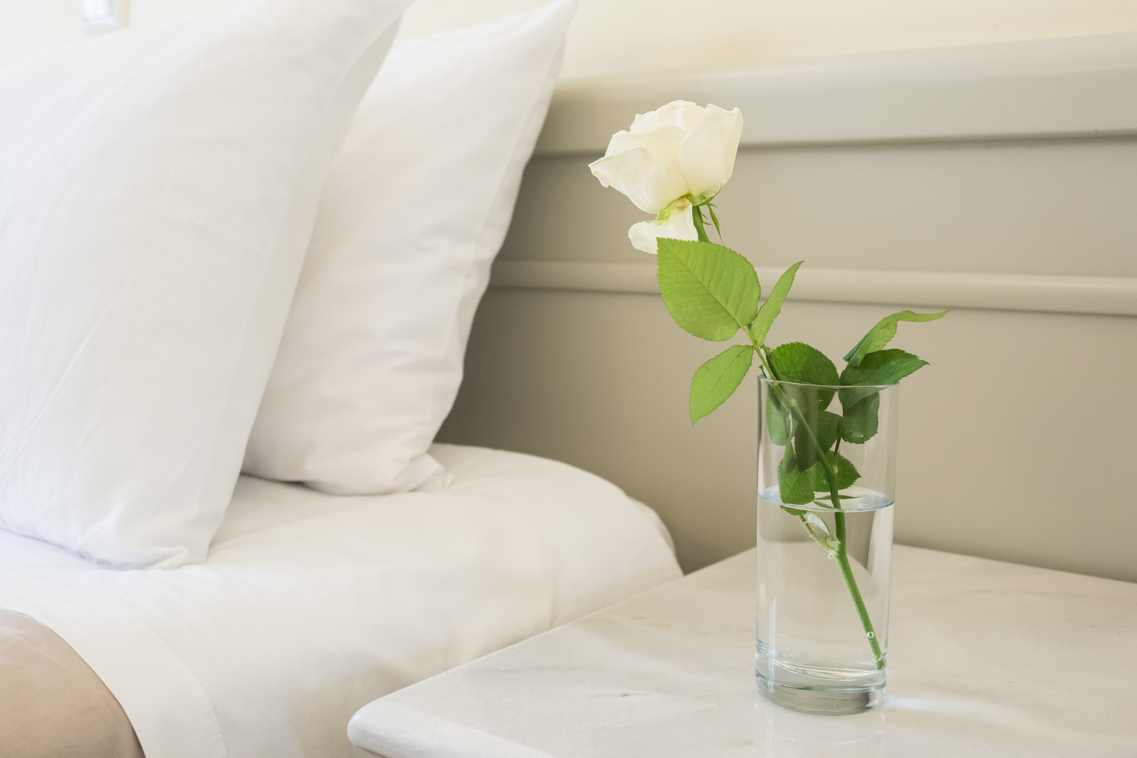A white rose in a clear vase on a white table next to a white sofa.