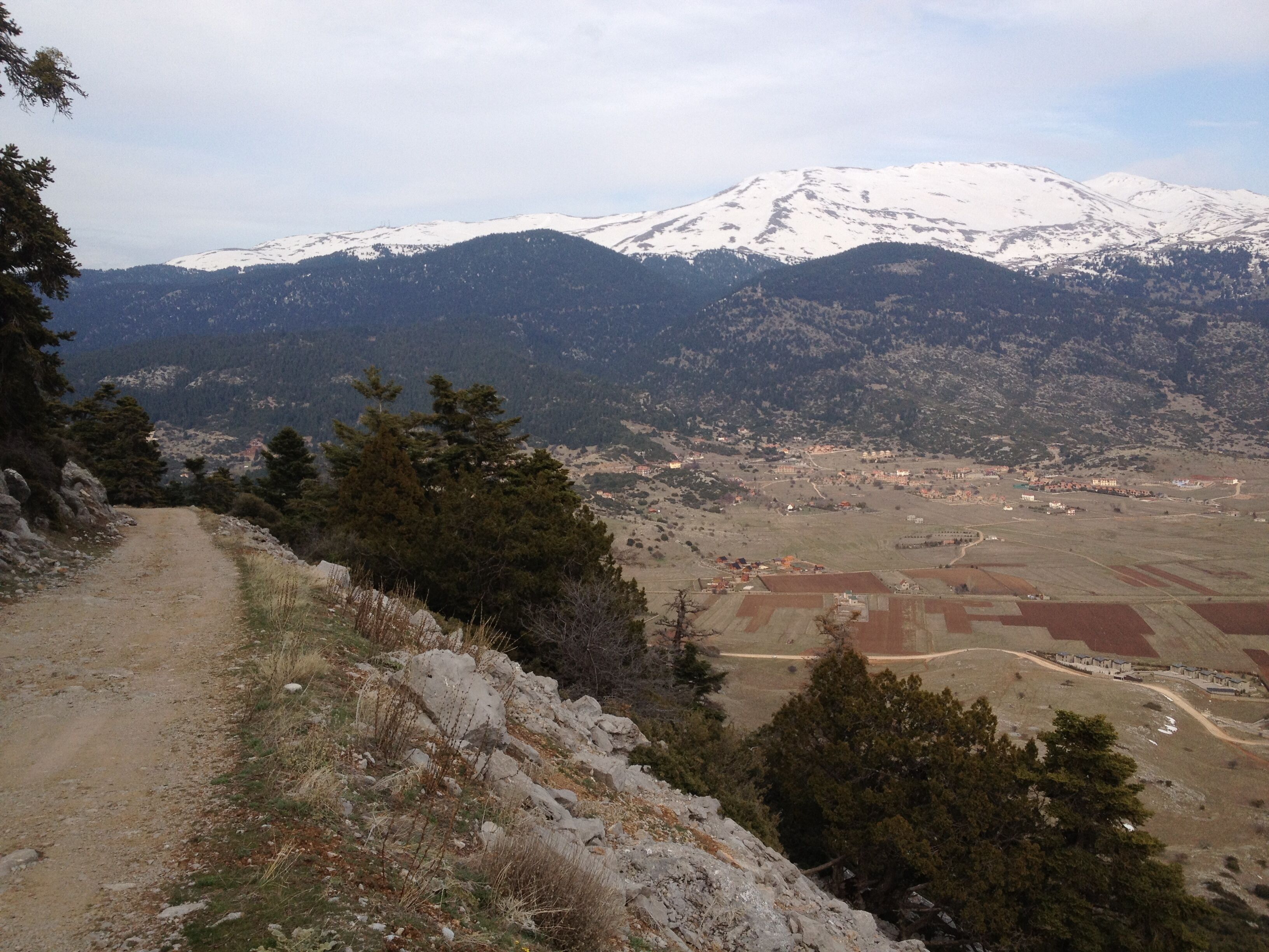 Foto - Parnassos Delphi Hotel