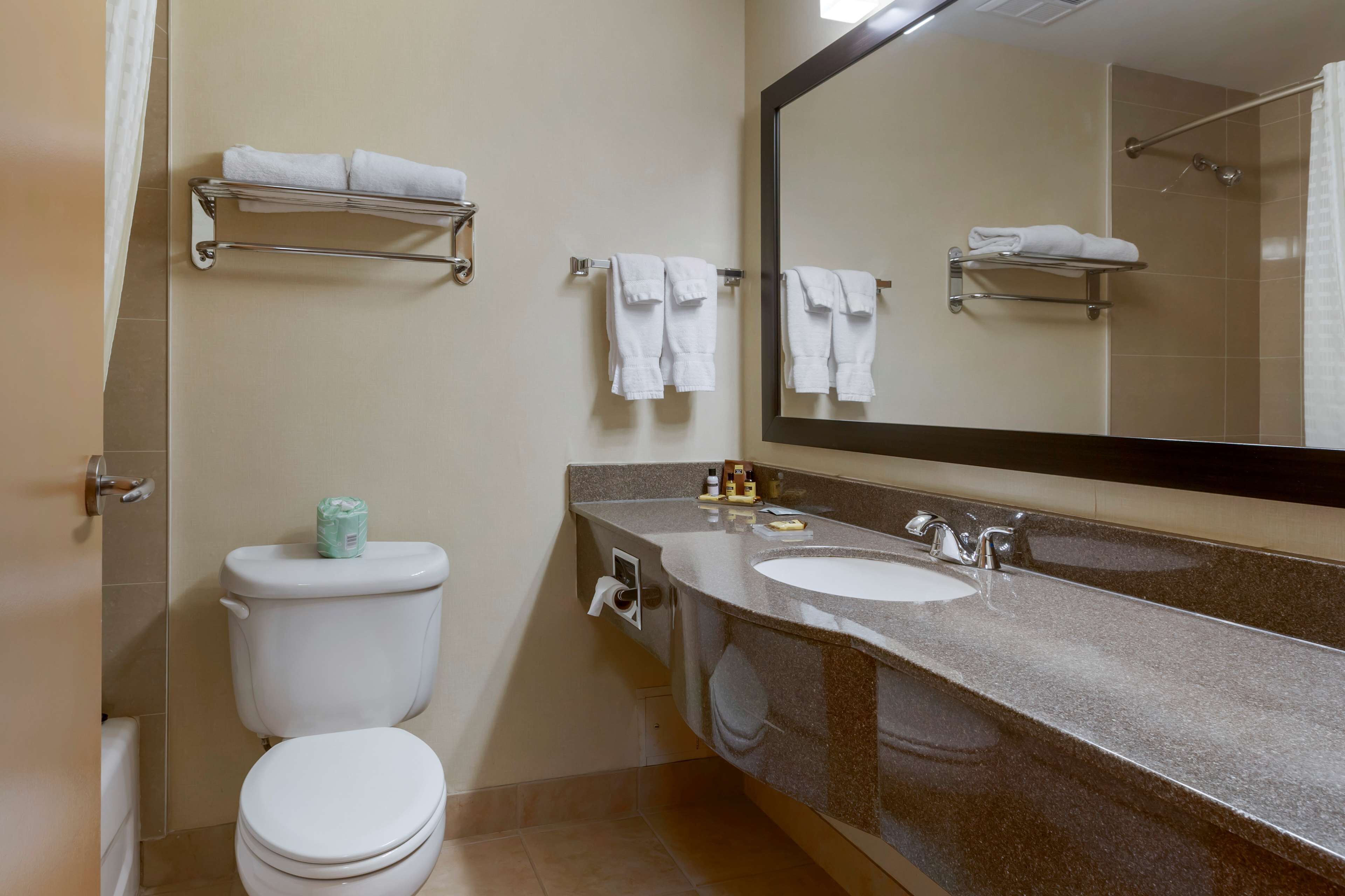 A bathroom with a toilet, sink, and mirror. There are towels on a rack and a shower curtain.