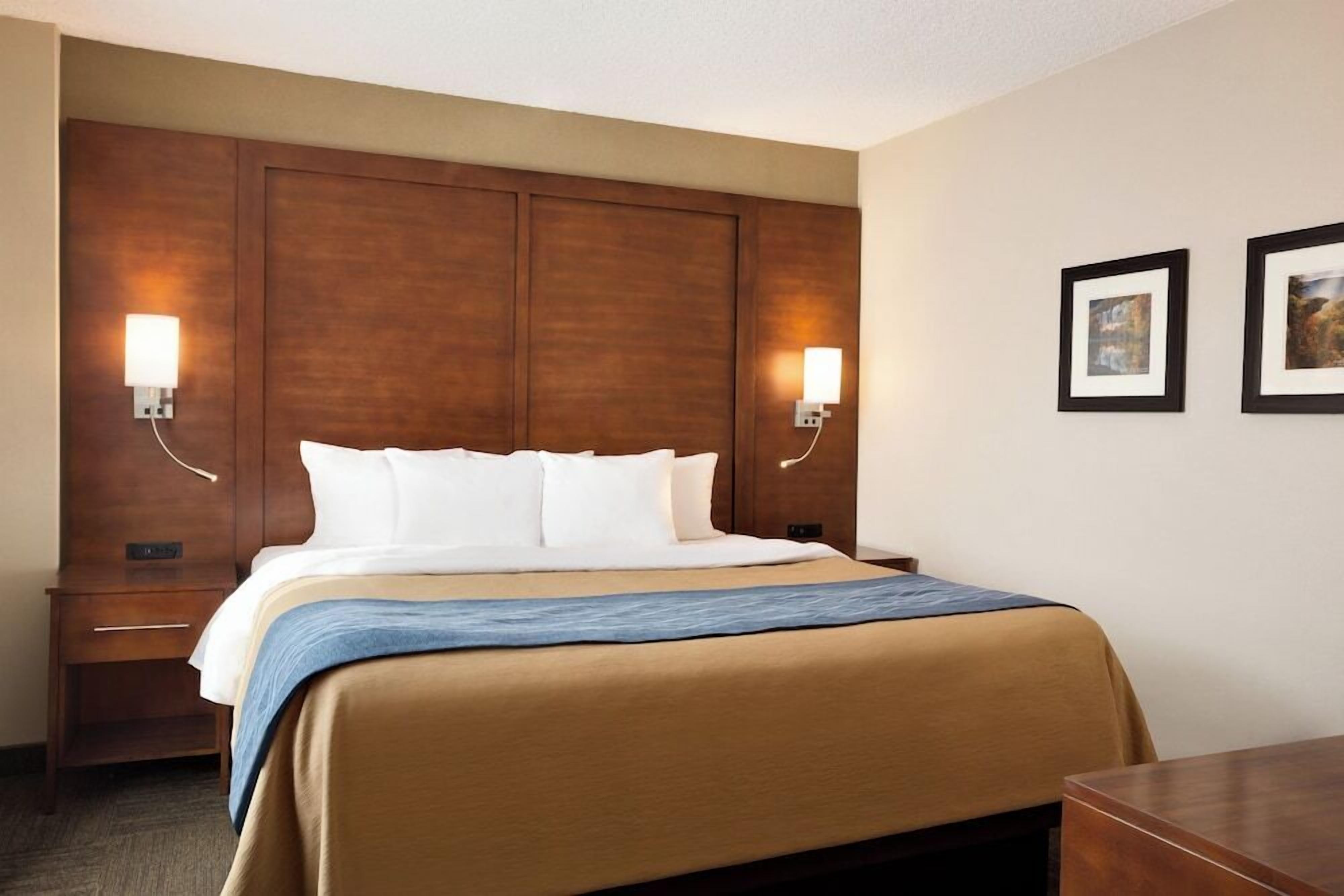 Premium bedding, down comforters, desk, laptop workspace