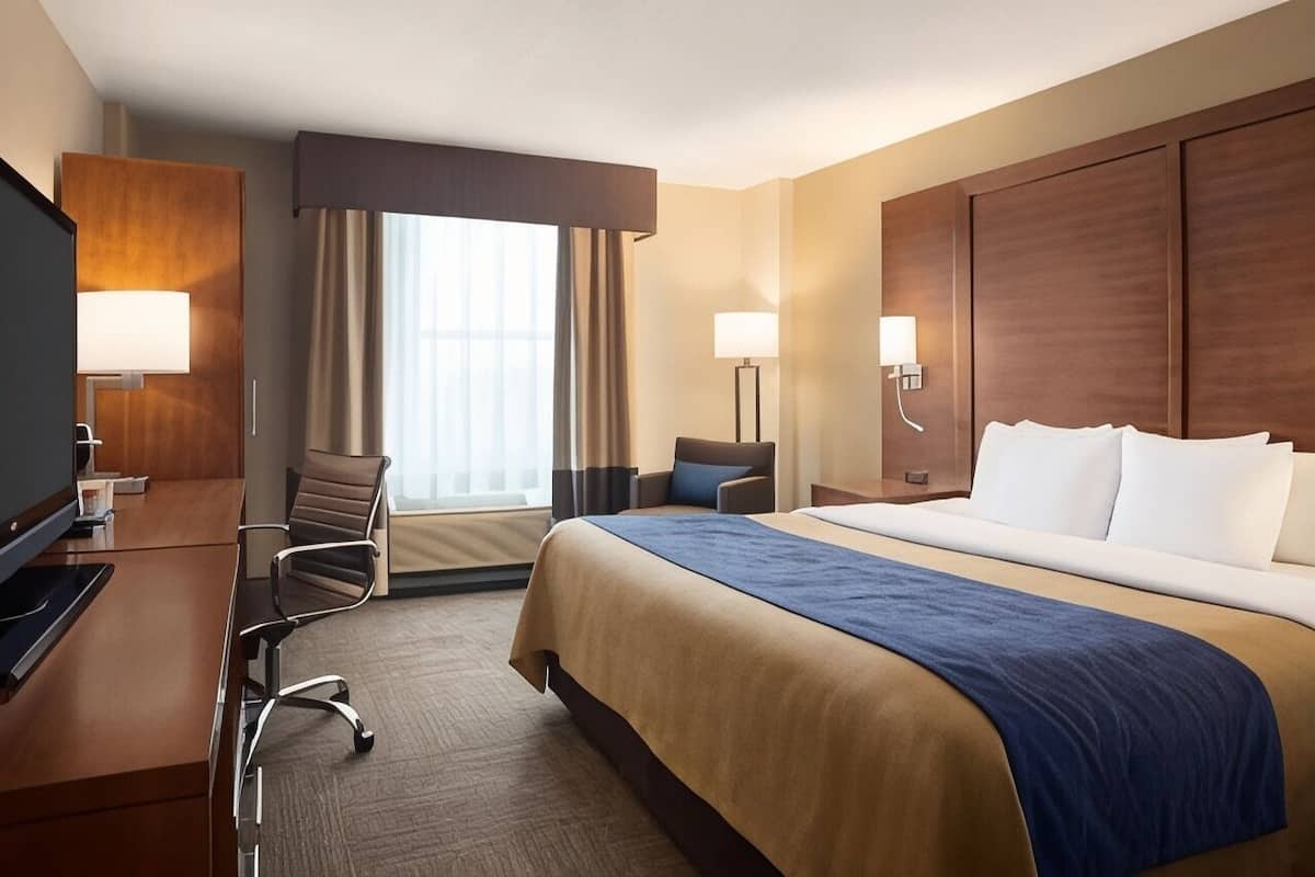Ropa de cama de alta calidad, edredón y escritorio