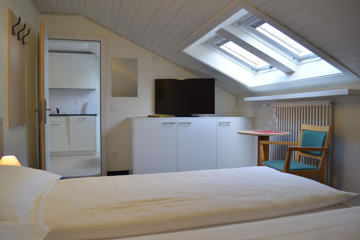 A bedroom with a skylight, a bed, a TV, a small table, and a chair.