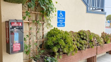 A building entrance with a fire extinguisher sign, a parking sign, and a planter with succulents.