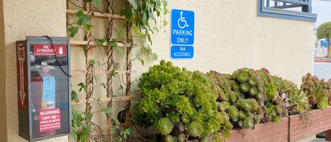 Une entrée d’immeuble avec un panneau indiquant la présence d’un extincteur, un panneau de signalisation pour le stationnement et un bac à fleurs contenant des plantes succulentes.