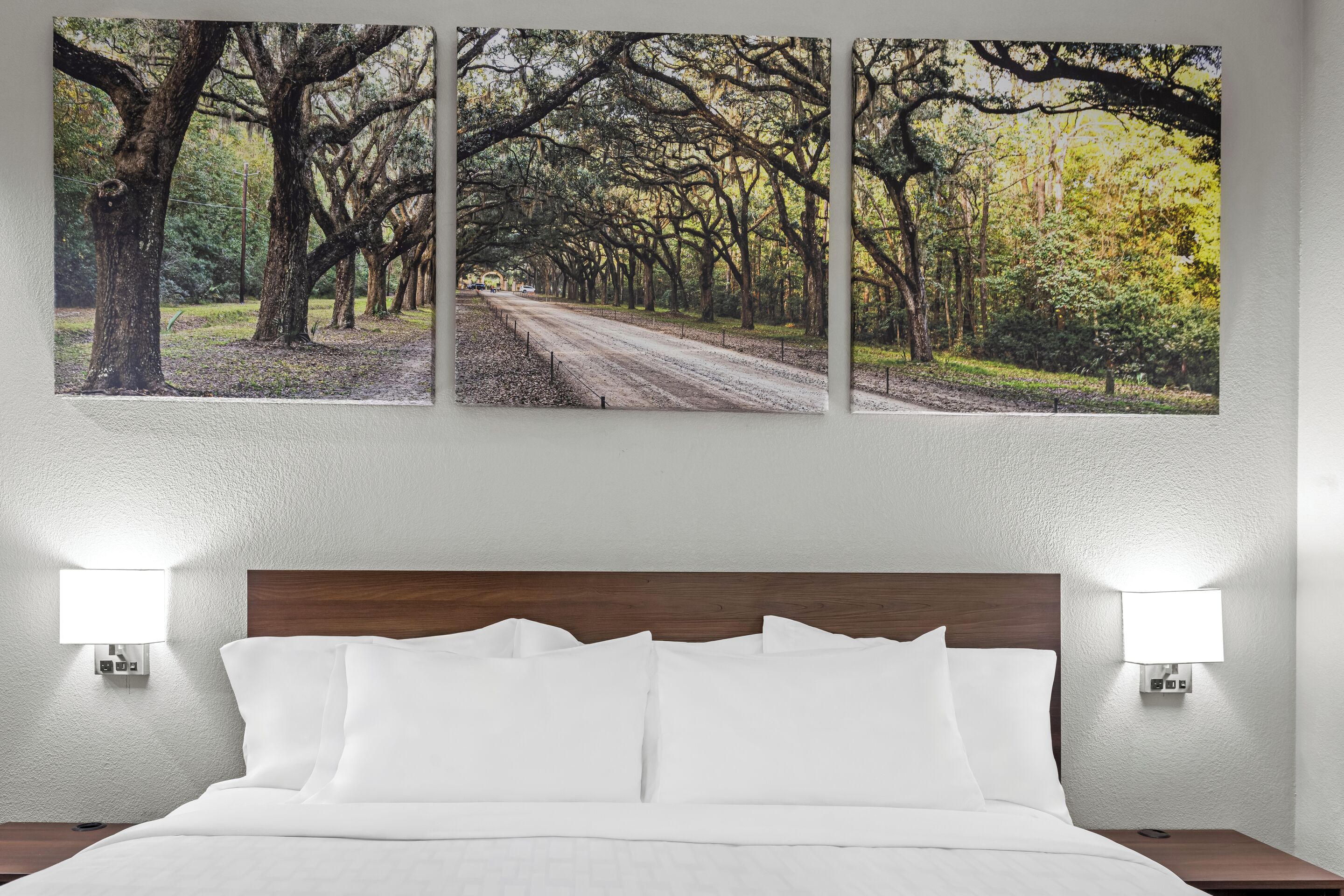 A hotel room with a bed, two bedside lamps, and a wall-mounted picture of a tree-lined path.