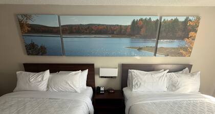 Clarion Pointe Jesup