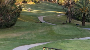Un campo de golf con un camino sinuoso, palmeras y vistas al océano.