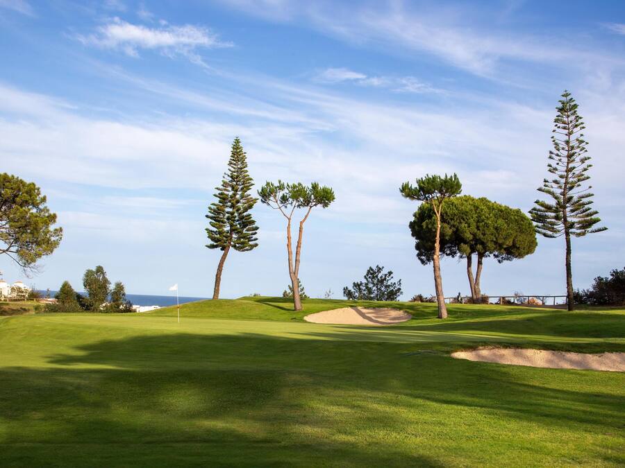 A golf course with sand bunkers, a flag, and trees.