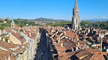 A cityscape with a prominent church tower and a long street lined with traditional buildings.