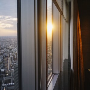 Vista desde la habitación