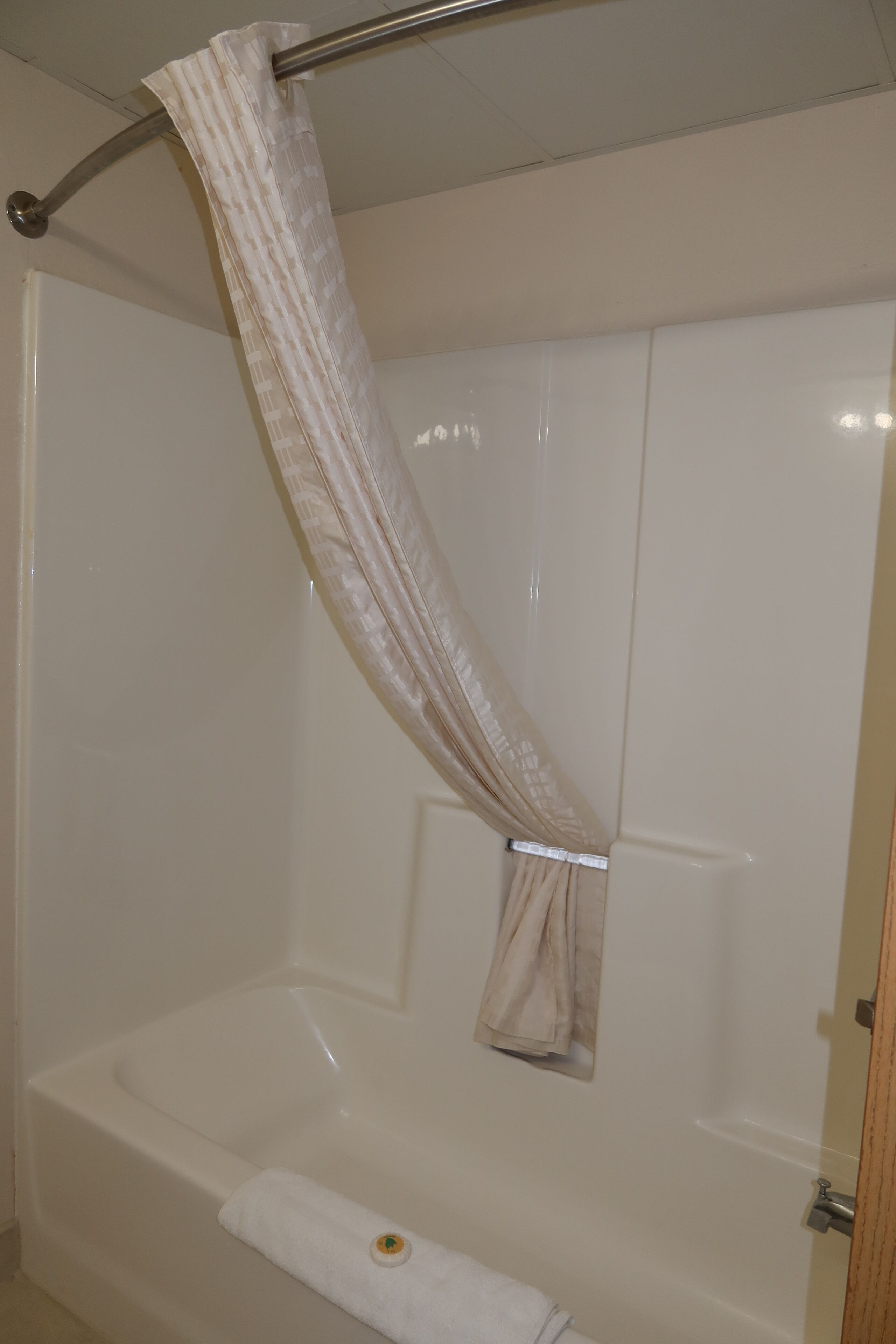 room, 1 queen bed, accessible, non smoking | bathroom | shower, free toiletries, towels