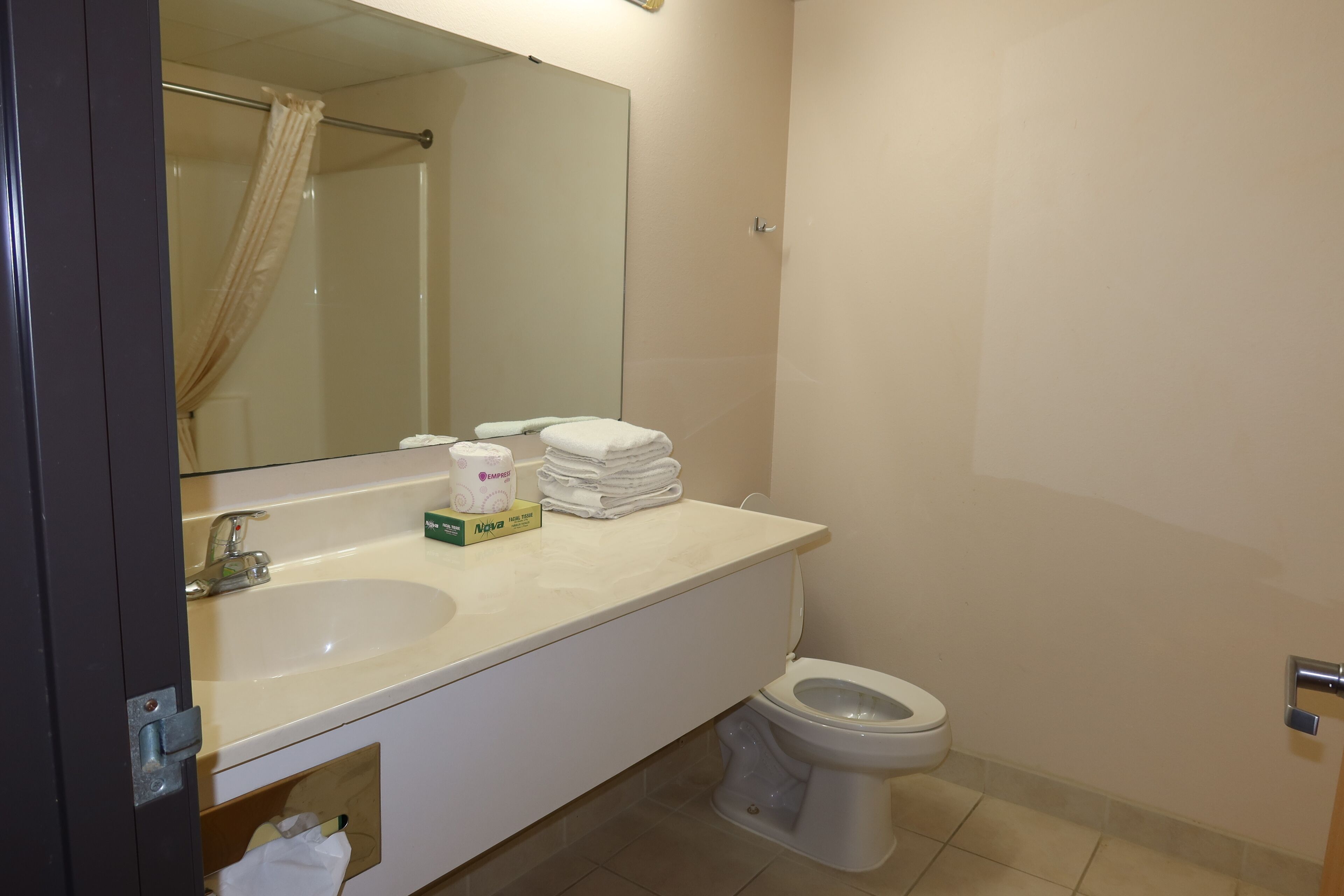 suite, 1 king bed, non smoking | bathroom | shower, free toiletries, towels