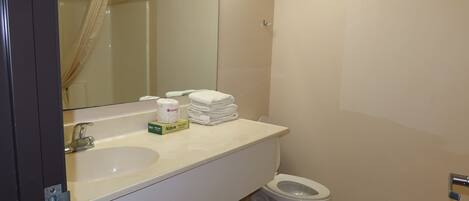 Un baño con lavamanos, espejo, inodoro y toallero.