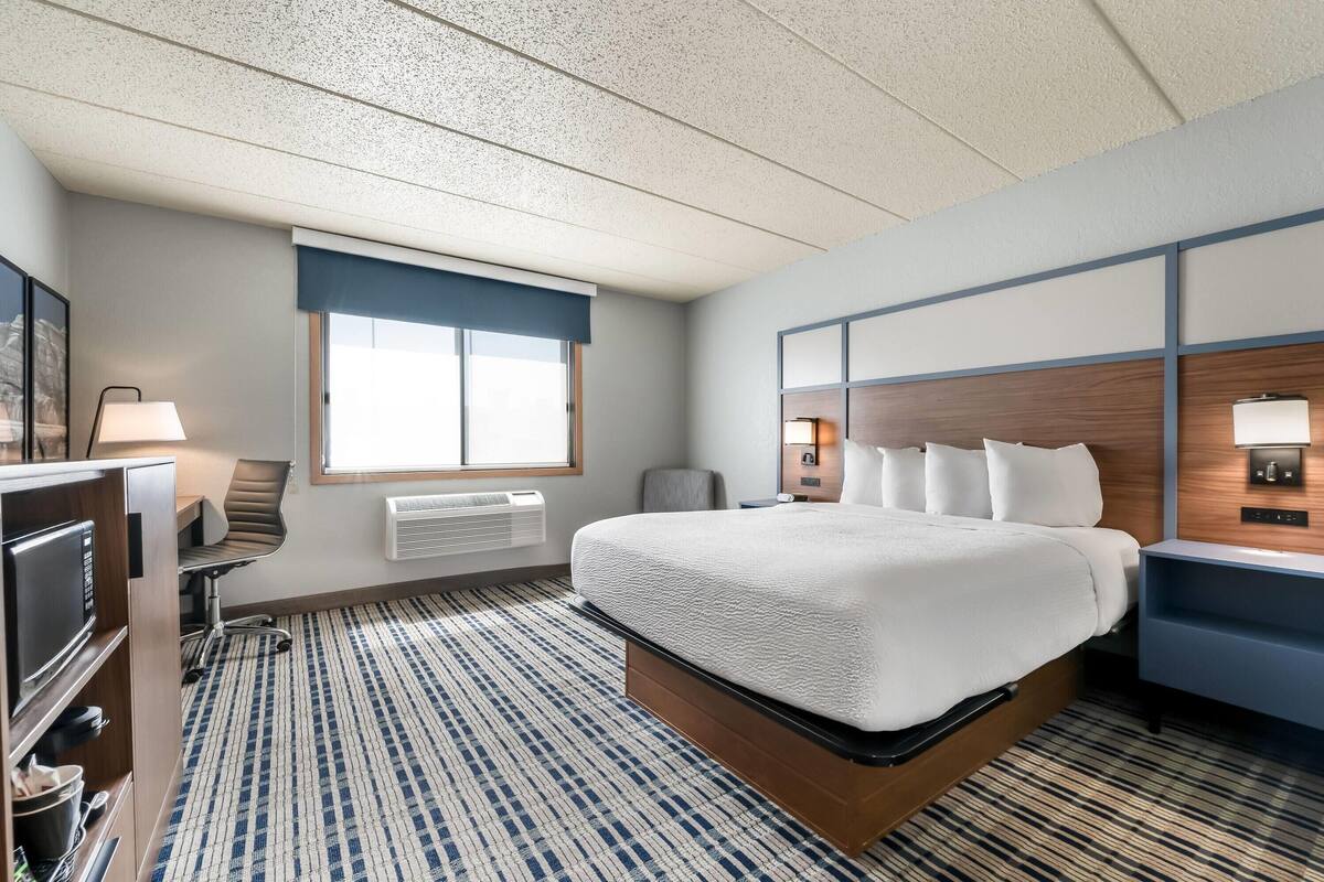 Room, 1 Queen Bed, Non Smoking | Premium bedding, desk, laptop workspace, blackout drapes
