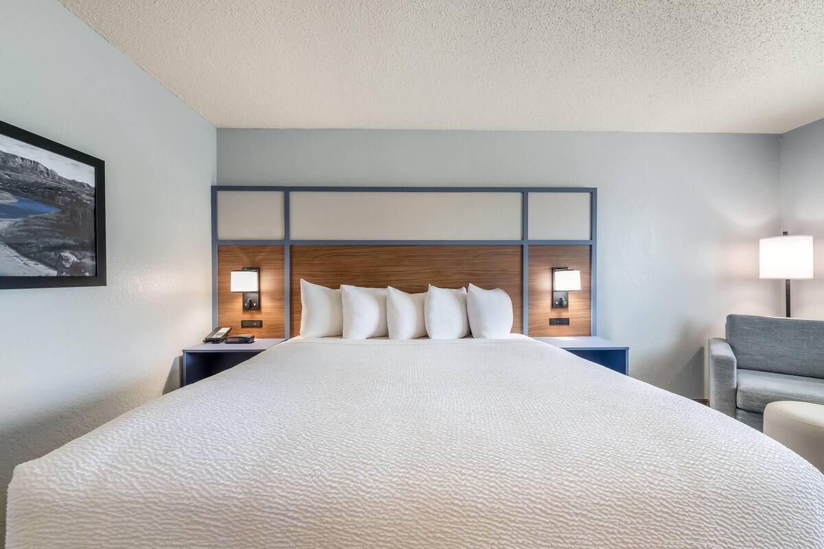 Room, 1 King Bed, Non Smoking | Premium bedding, desk, laptop workspace, blackout drapes
