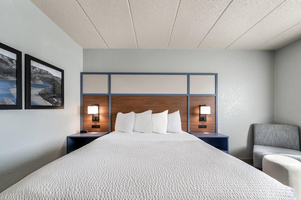 Room, 1 Queen Bed, Non Smoking (Pet-Friendly) | Premium bedding, desk, laptop workspace, blackout drapes