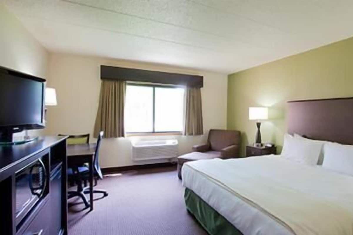 Quarto de hotel com cama, escrivaninha, cadeira, televisão, janela com cortinas e mesa de cabeceira com abajur.