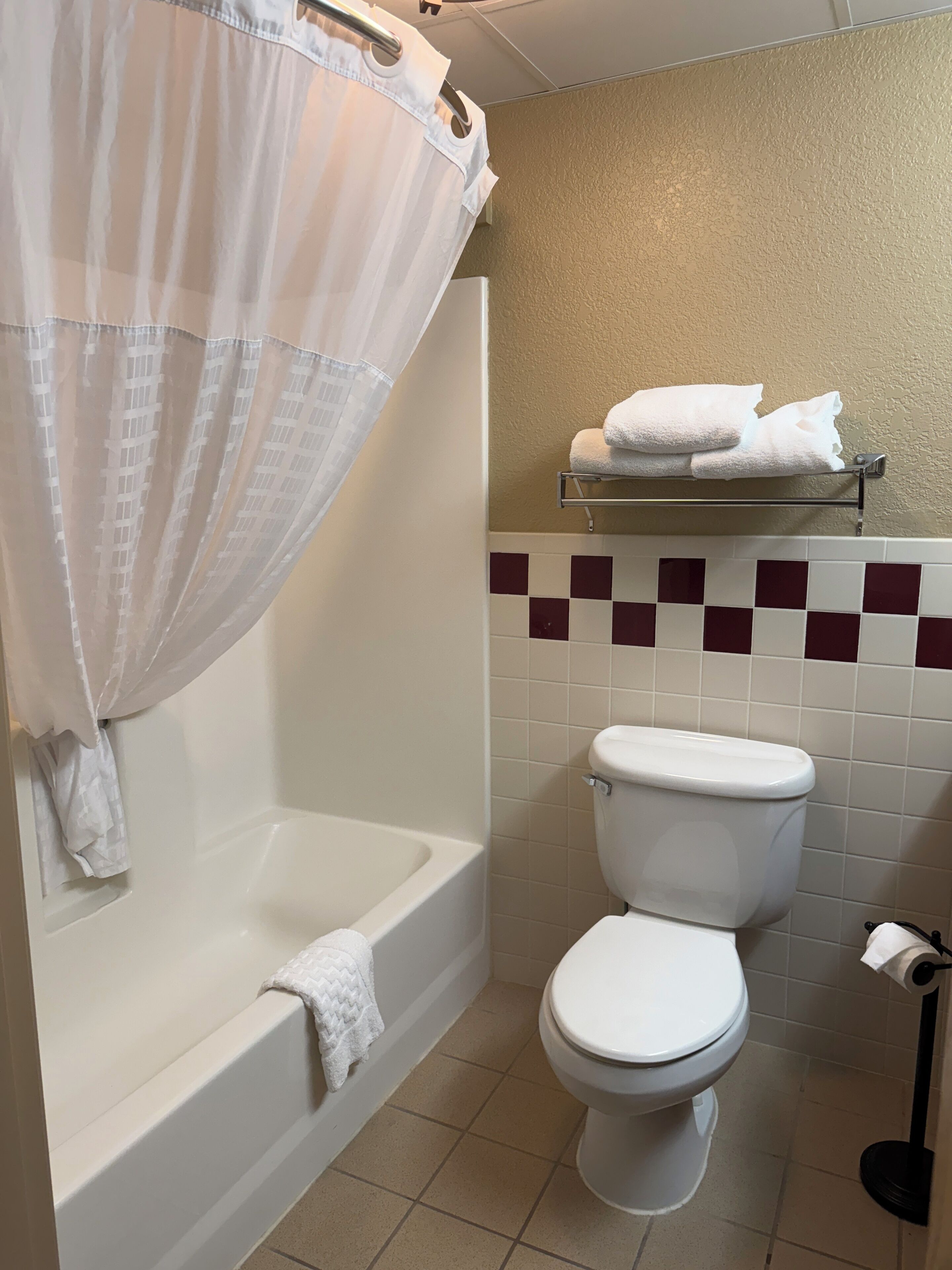 A bathroom with a bathtub, toilet, and a shower curtain.