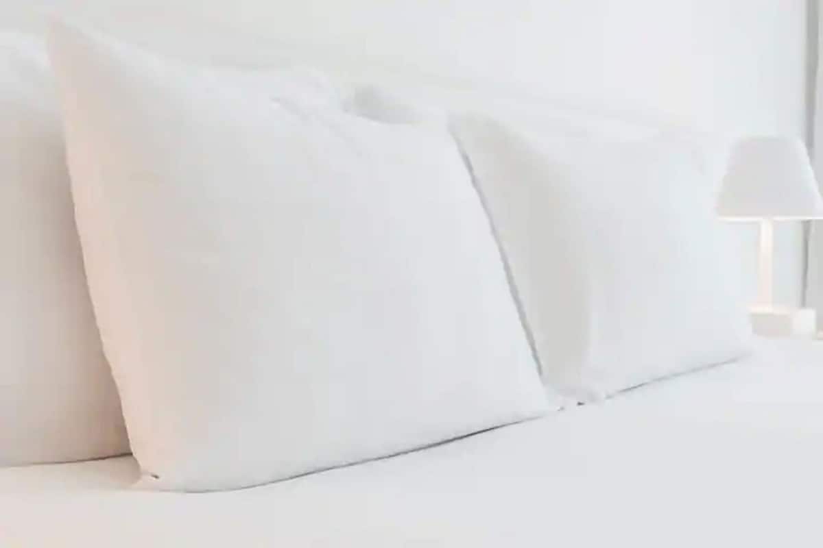 Down comforters, individually decorated, individually furnished, desk