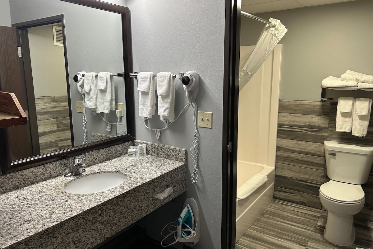 combined shower/bathtub, free toiletries, hair dryer, towels