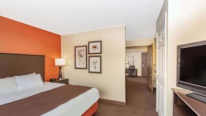 Una habitación de hotel con una cama grande, un televisor y cuadros en la pared.