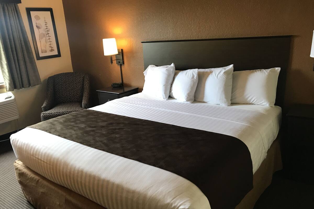 A hotel room with a large bed, a chair, a nightstand, a lamp, and a wall-mounted picture.