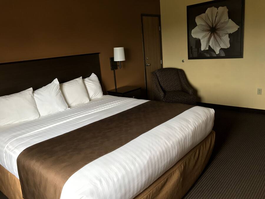 A hotel room with a large bed, a chair, a lamp, and a framed flower on the wall.