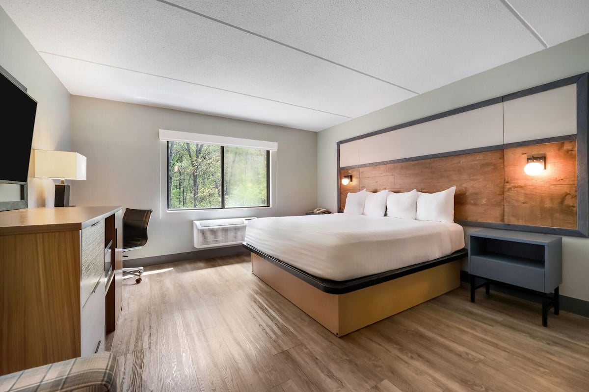 Room, 1 King Bed, Accessible (Roll In Shower) | Desk, iron/ironing board, cribs/infant beds, rollaway beds