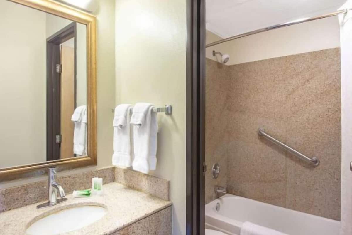 浴室 | 免费洗浴用品、吹风机、毛巾