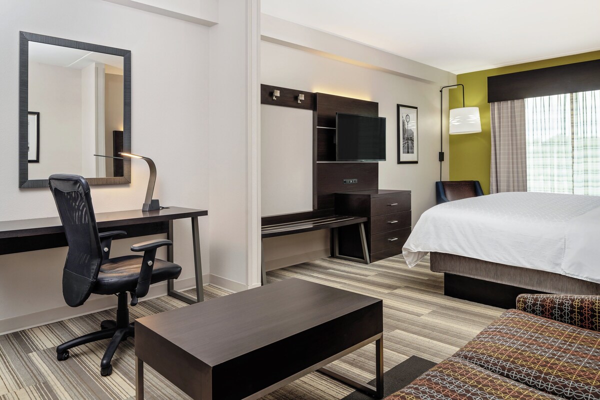 Suite, 1 King Bed with Sofa bed