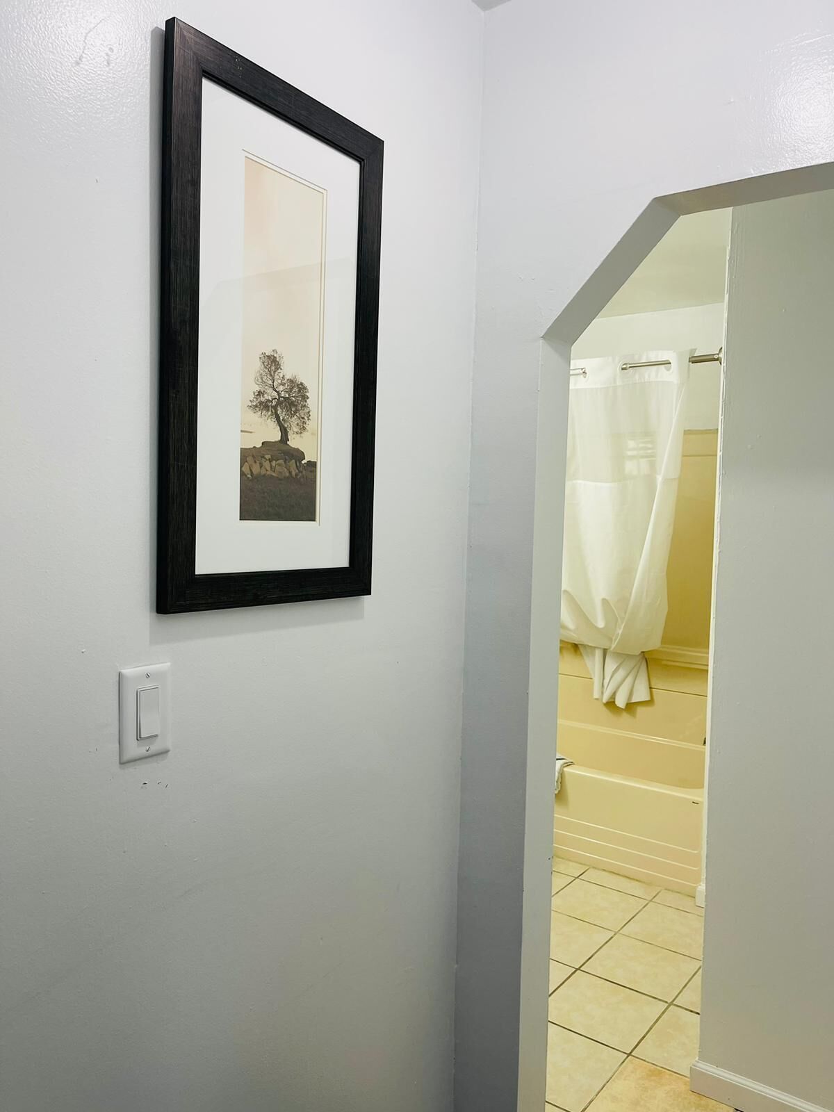 A hallway with a framed picture on the wall, a light switch, and a bathroom visible through an open door.