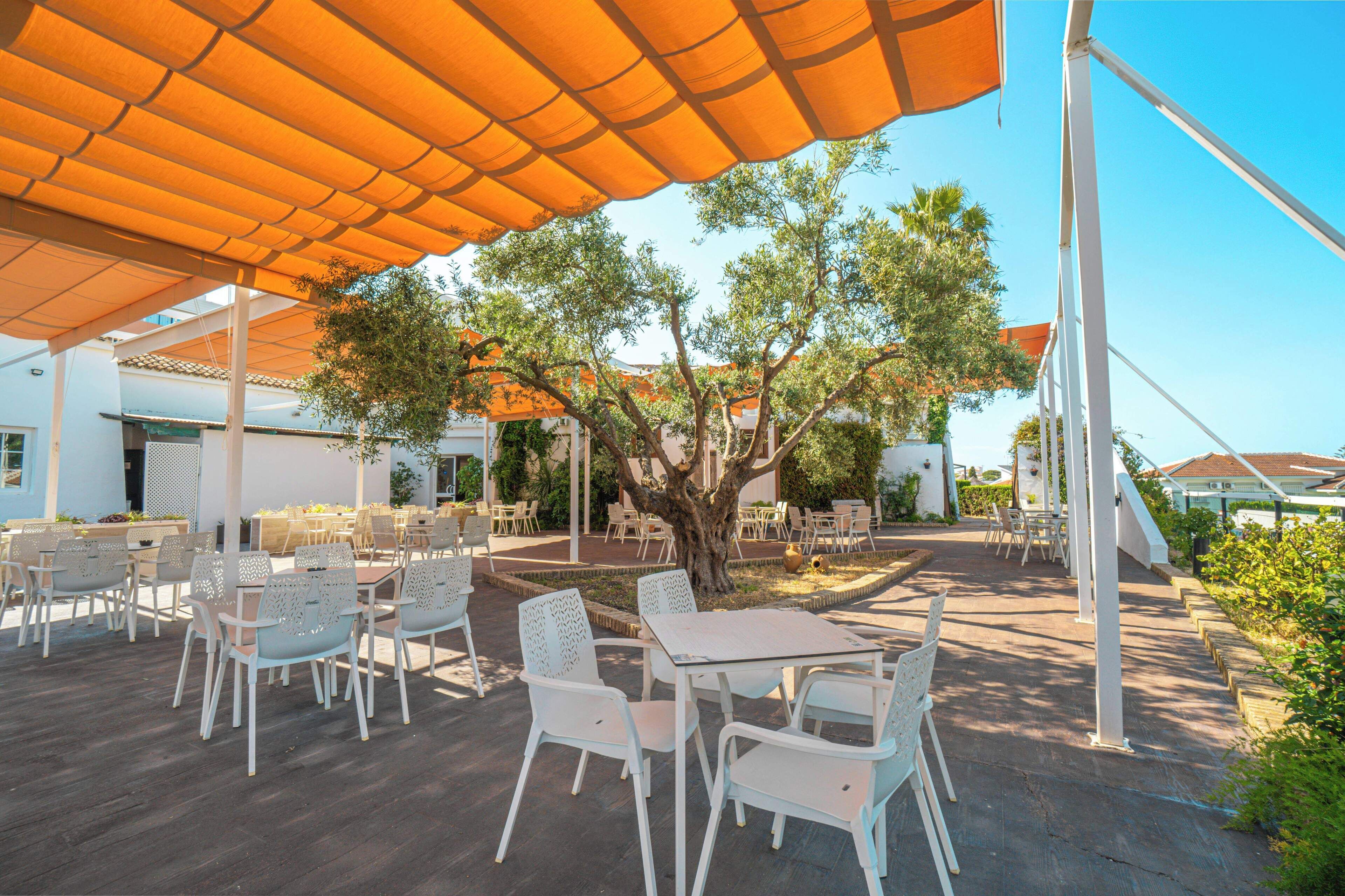 Un patio al aire libre con sillas y mesas blancas, cubierto por toldos naranjas, rodeado de árboles.
