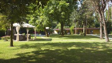 Classic Double or Twin Room, Garden View, Ground Floor | View from room