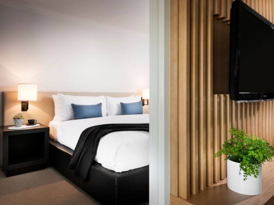 A modern hotel room with a bed, bedside tables, a flat-screen TV, and a potted plant.