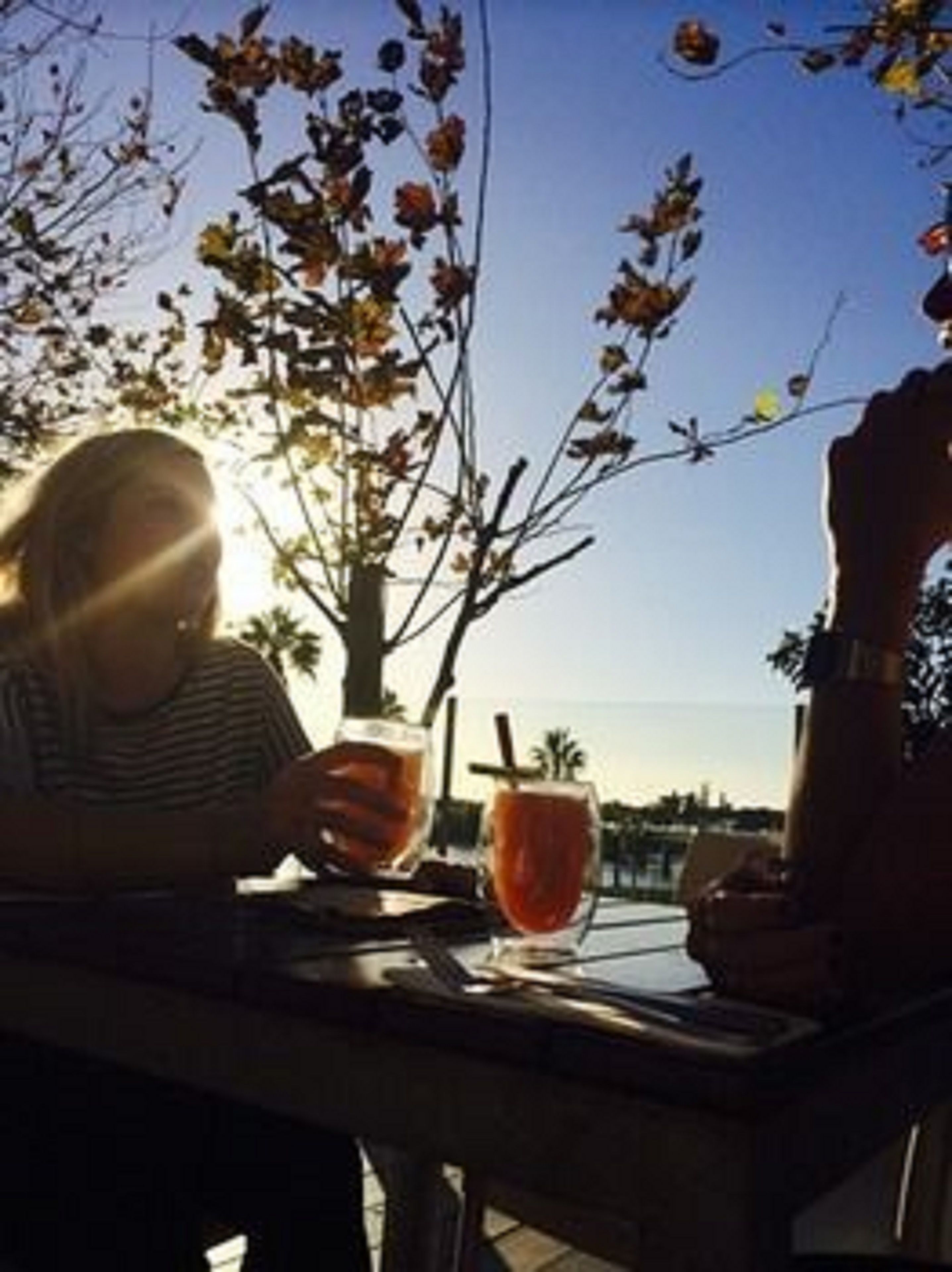 A person sitting at an outdoor table with a drink, sunlight, and a tree in the background.