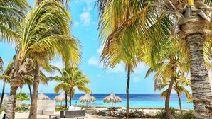 A beach with palm trees, thatched umbrellas, and a wooden bench.
