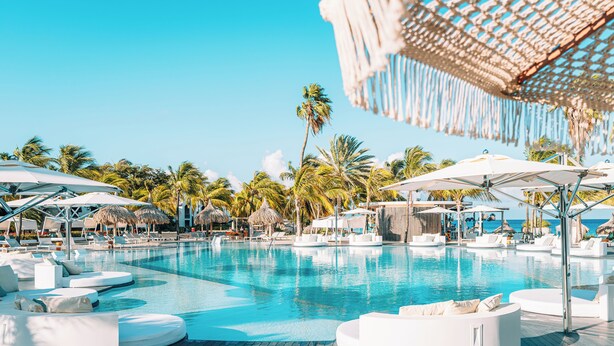 A pool area with lounge chairs and umbrellas, surrounded by palm trees and a clear sky.