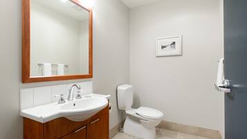 A bathroom with a wooden vanity, a white sink, a mirror, a toilet, and a framed picture on the wall.