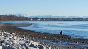 A rocky shoreline with a person standing on the beach, a calm body of water, and a mountain range in the background.