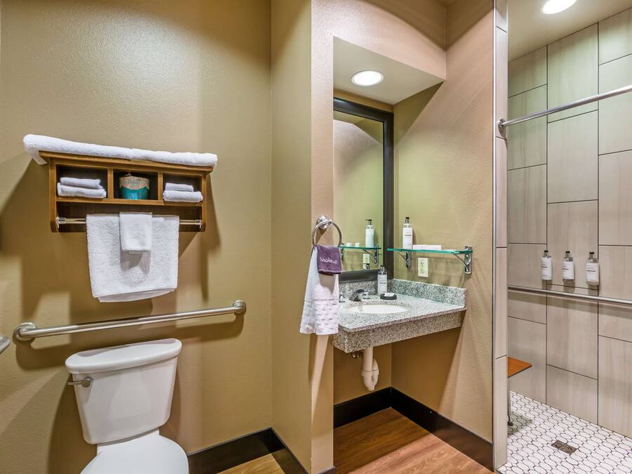 Une salle de bain comprenant des toilettes, un lavabo avec une étagère en verre au-dessus, et un espace douche.